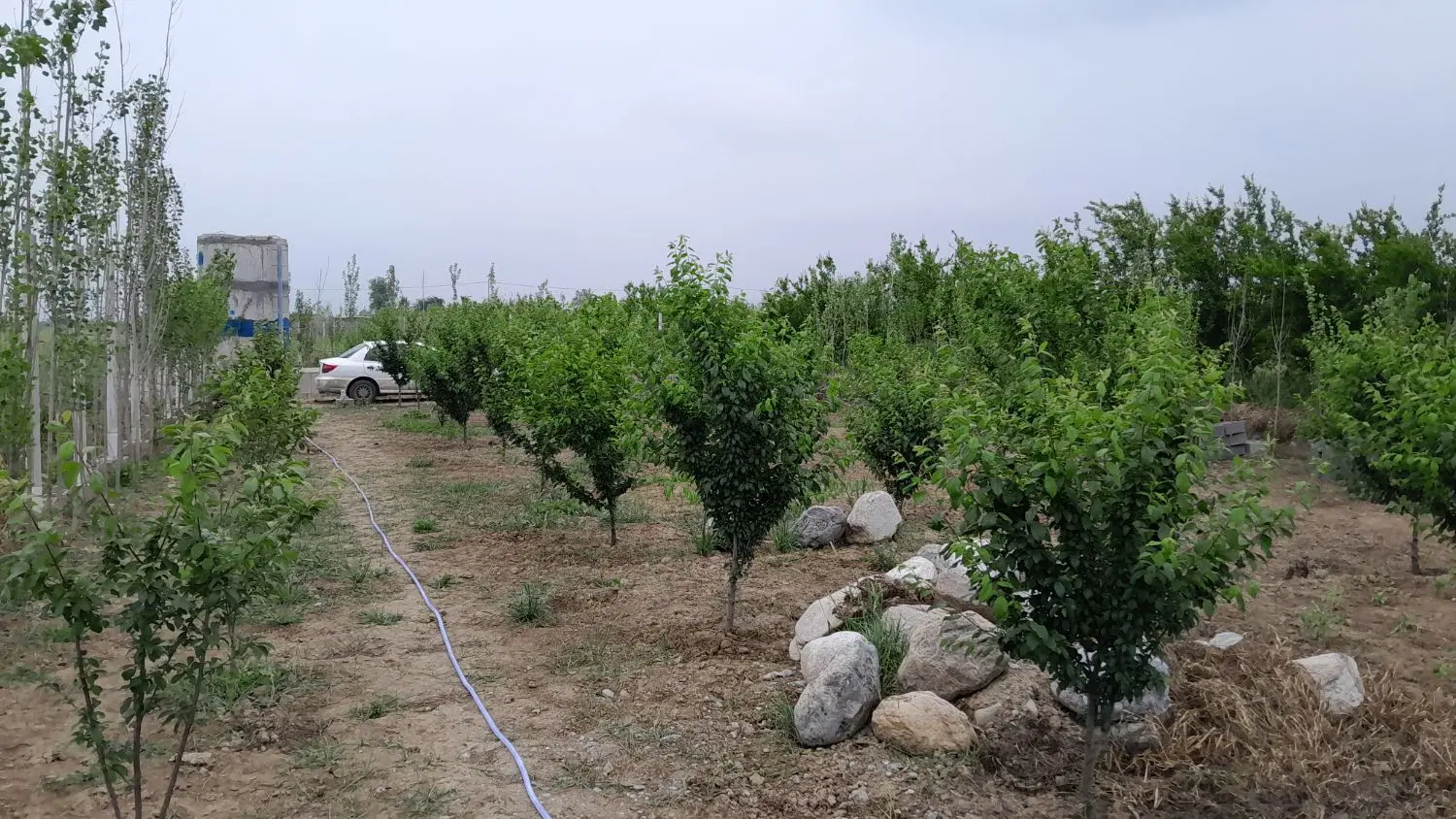 زمین قواره بندی اصفهانکلاته