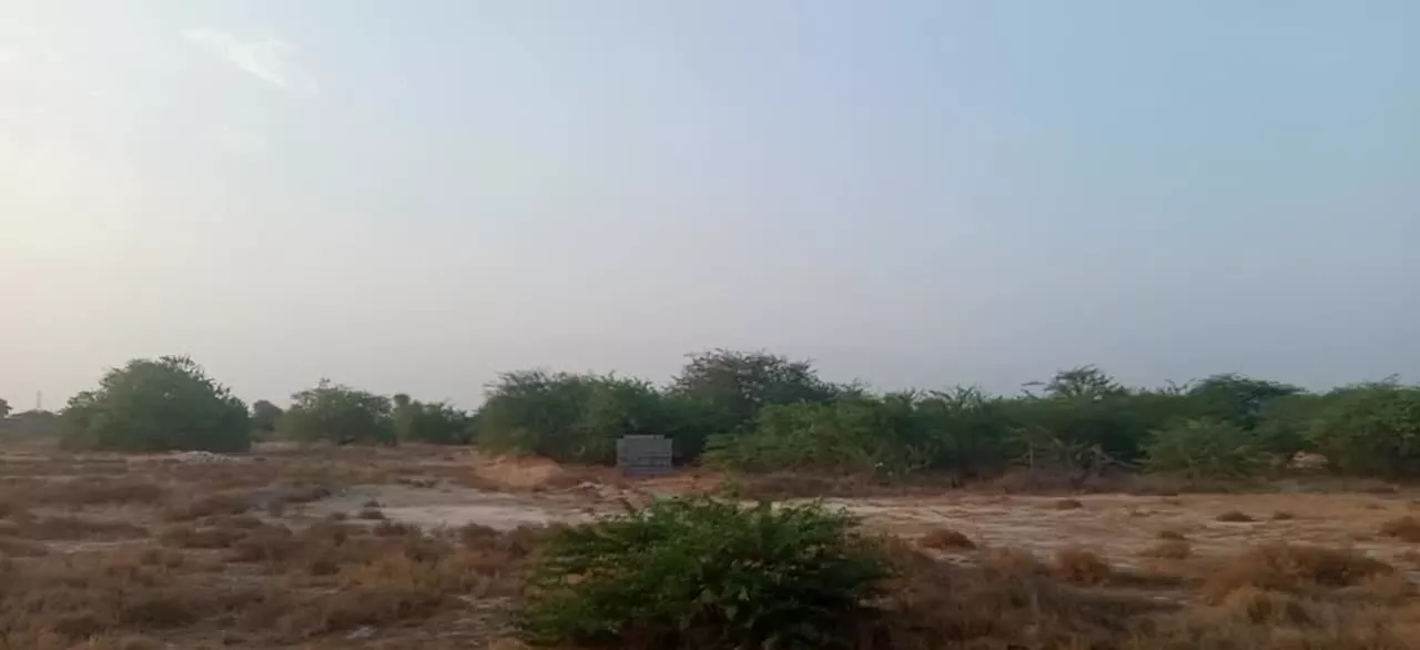 فروش زمین جلابی کهورکلاغی