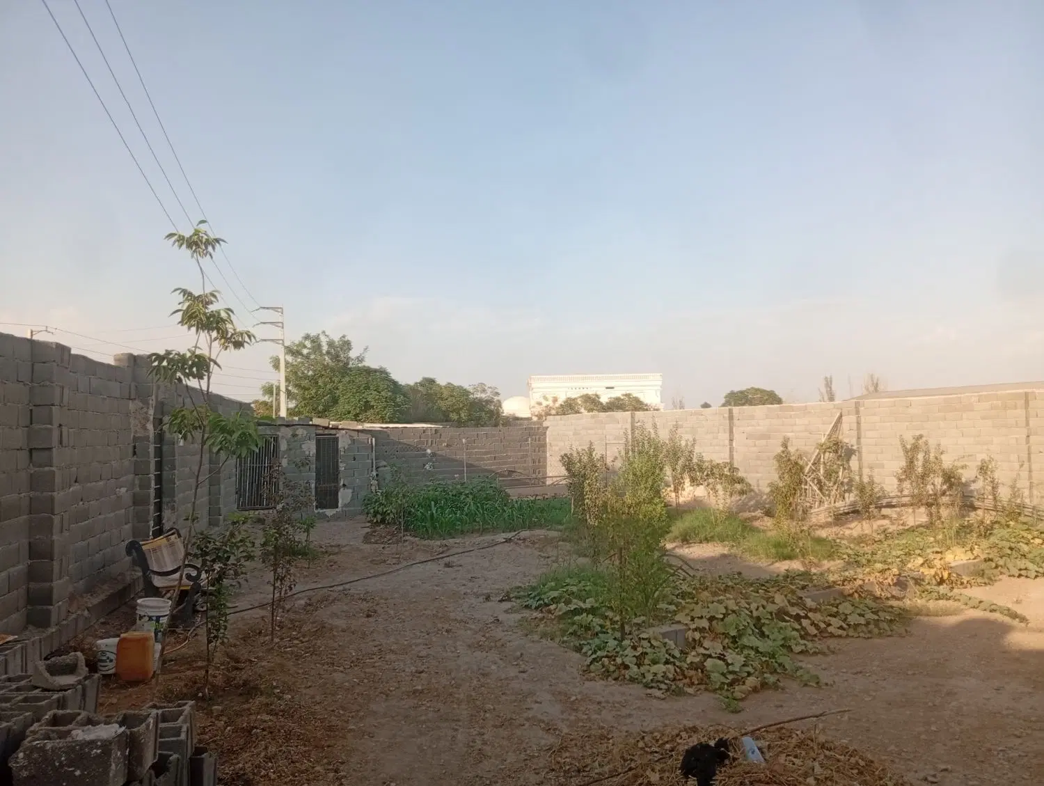 باغچه