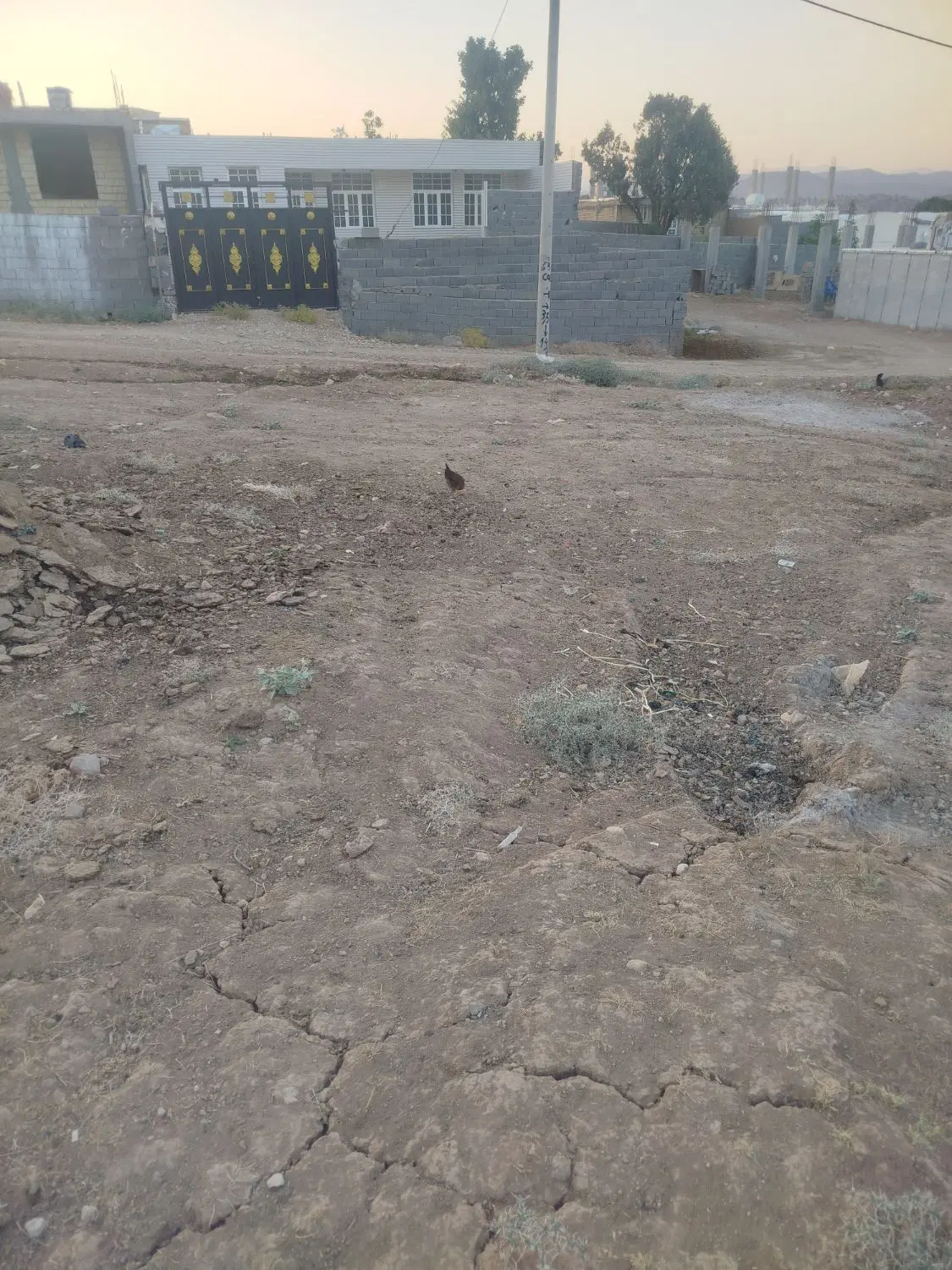 زمین باغ انار