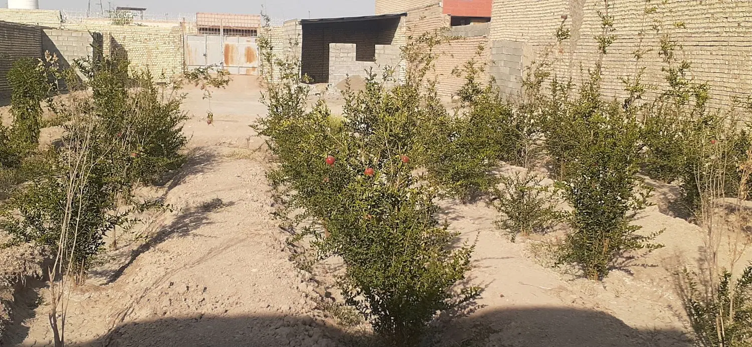زمین باغی واقع در جاده امامزاده شاهزاده حسن