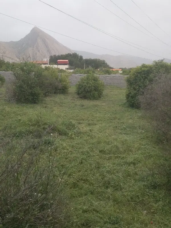 باغ  ۱۰۰۰ متری
