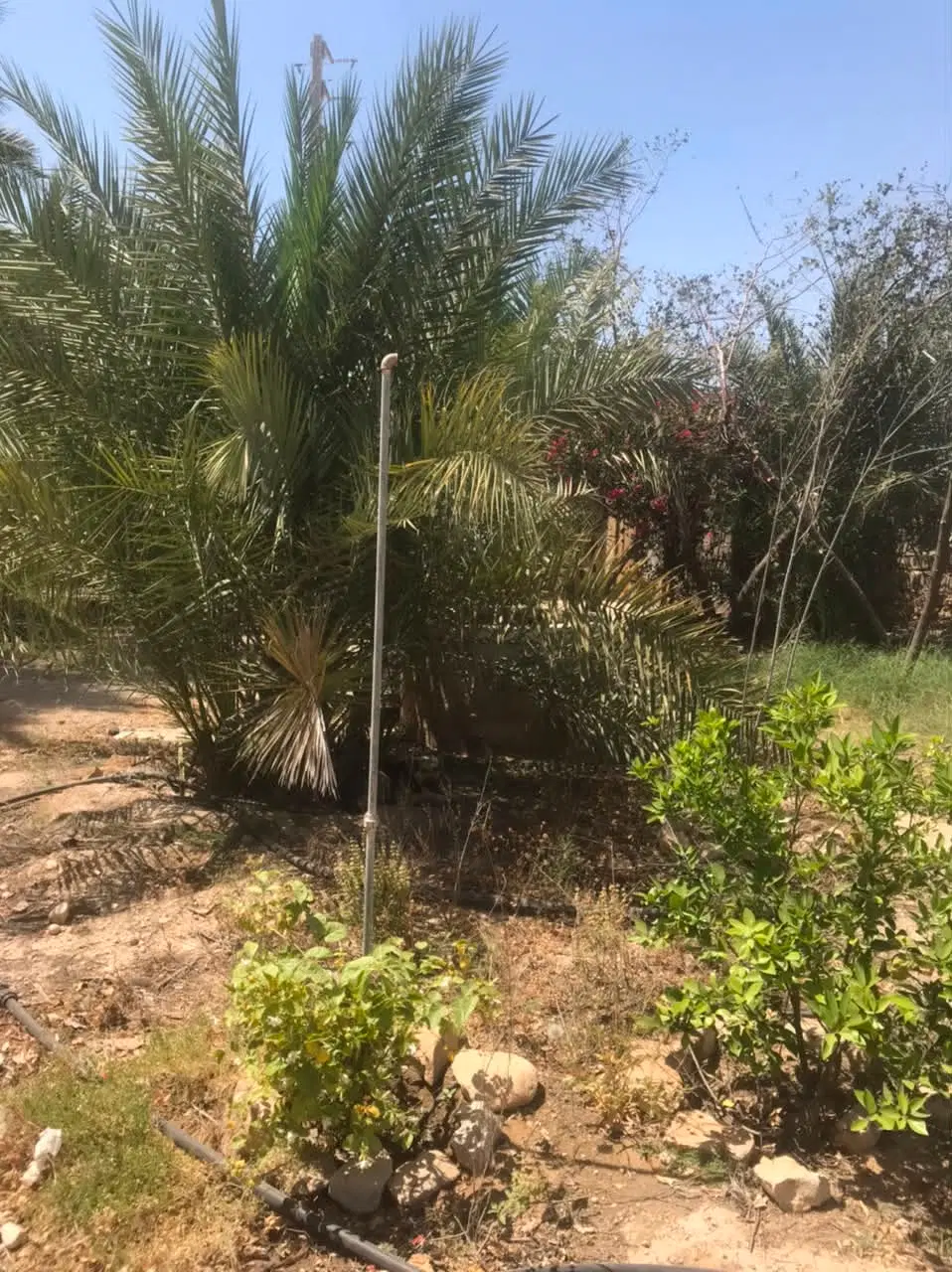 زمین امیر آباد