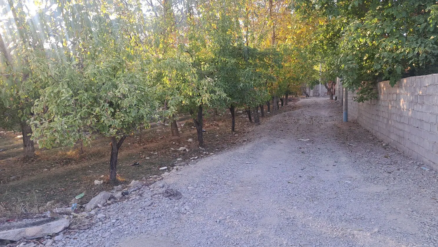 زمین مسکونی وباغی عرب اباد