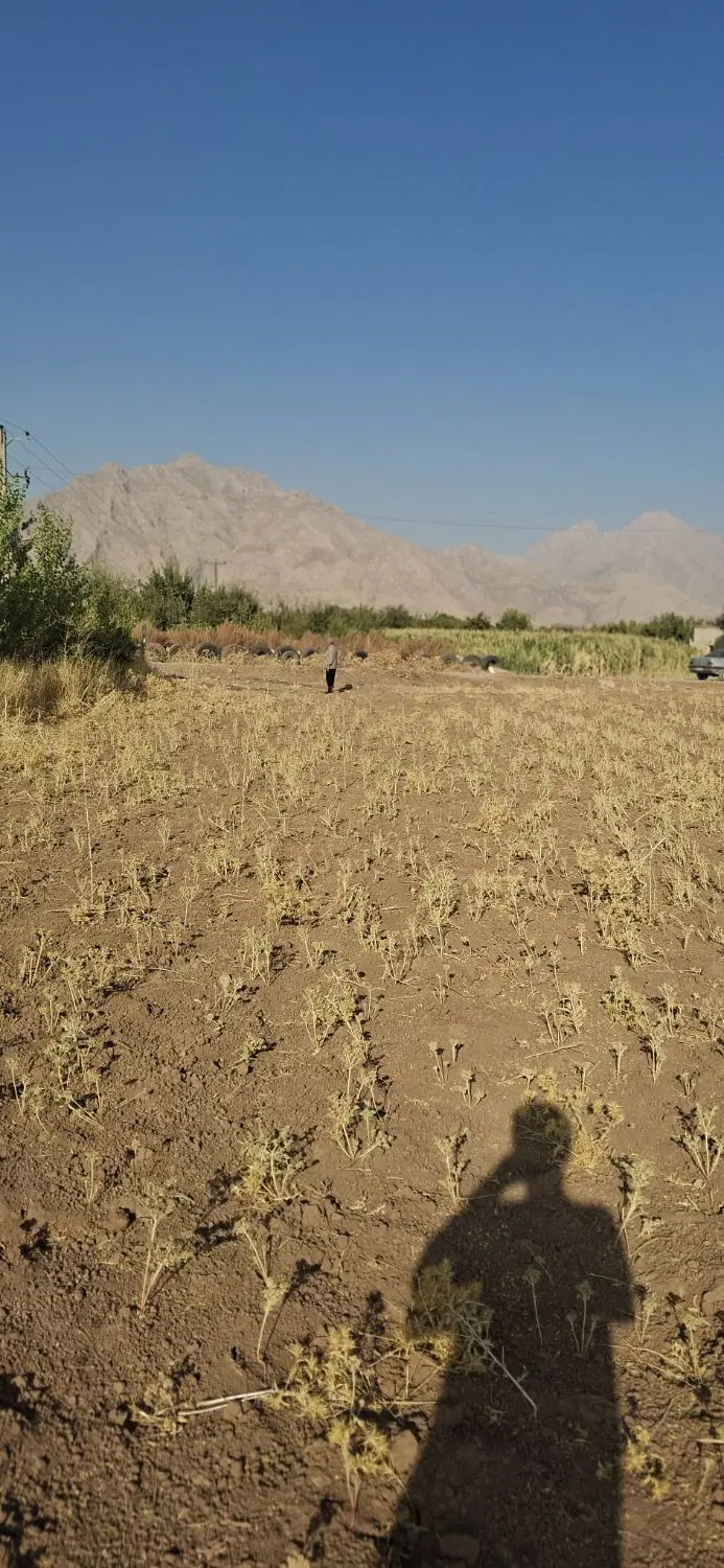 زمین روستای عمرمل