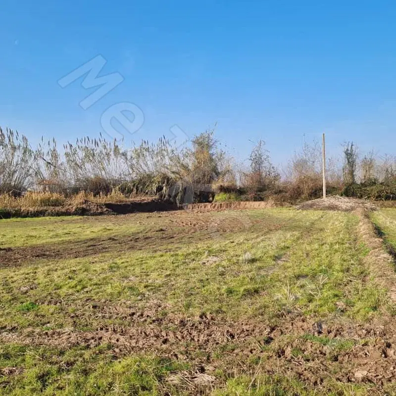 زمین کشاورزی باغی ویلایی
