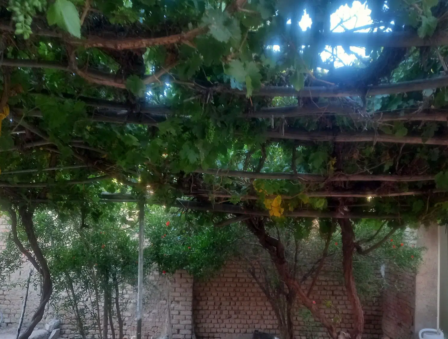 خانه باغ روستای
