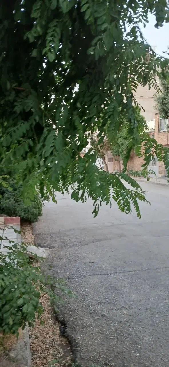 ساختمان ۲۴۰ متری زیر بنا