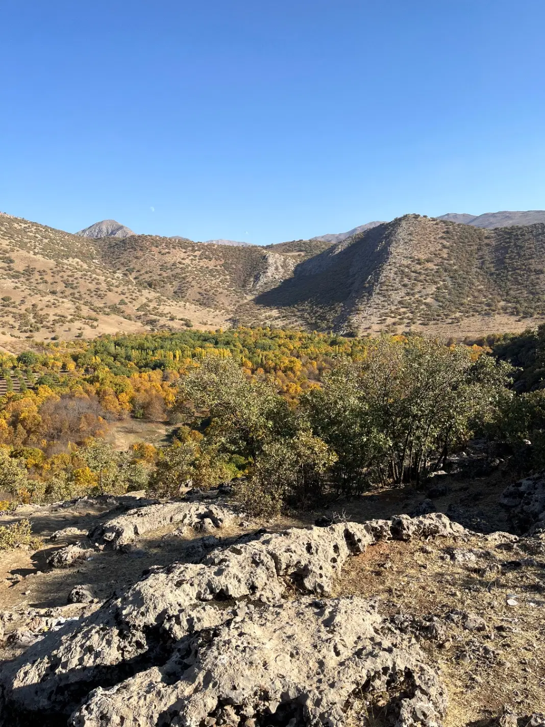 امتیاز خانخ باغ دادگستری