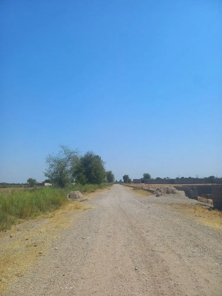 زمین
