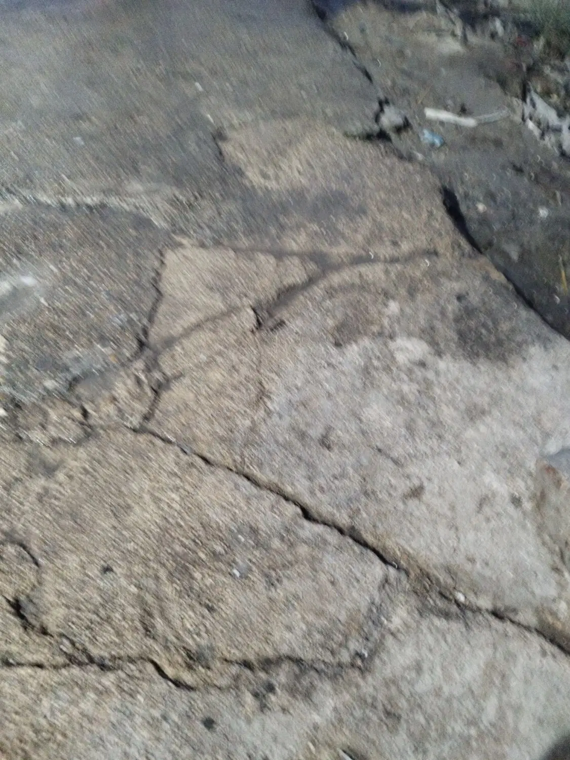 شادگان