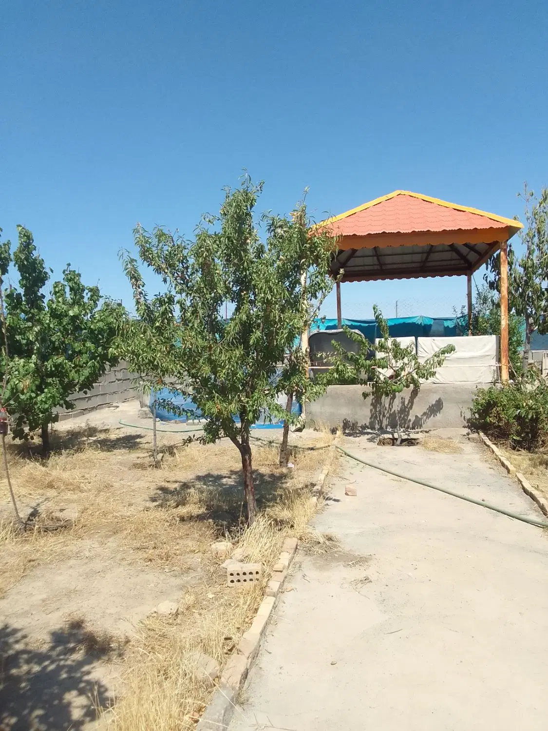 باغ فروشی