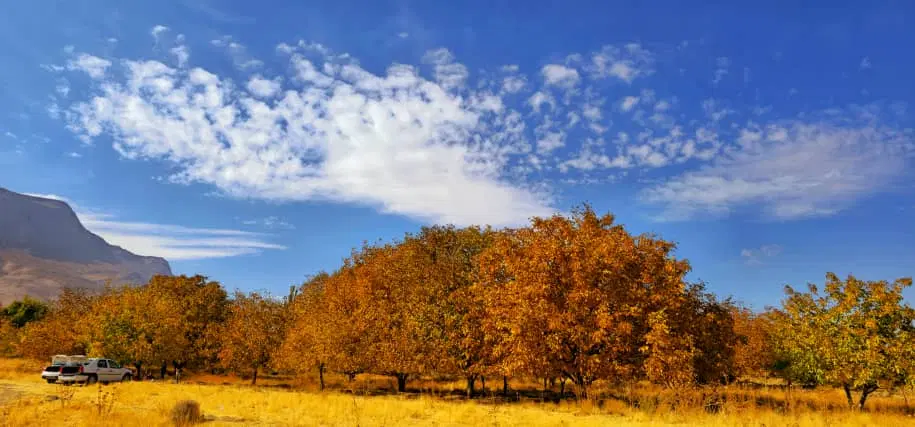 زمین فروشی