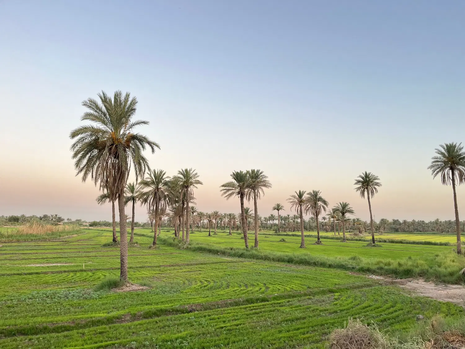 زمین اسلام اباد