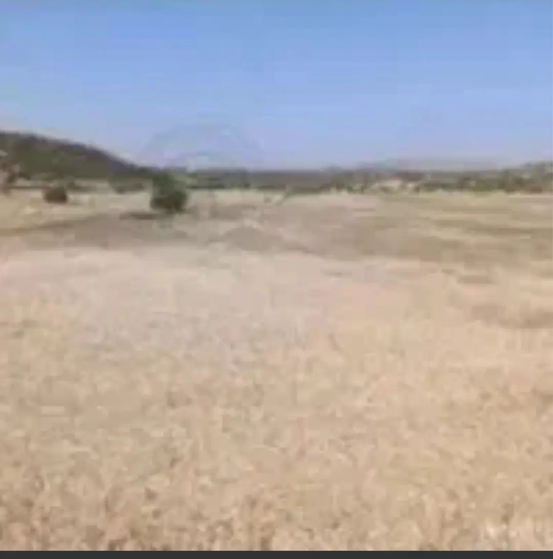 زمین .فعلا زراعی در محدوده شهر