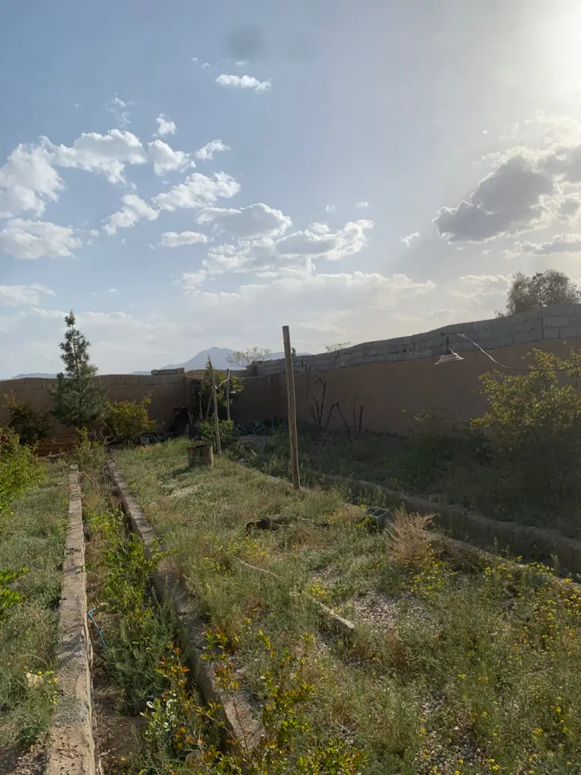 زمین باغی