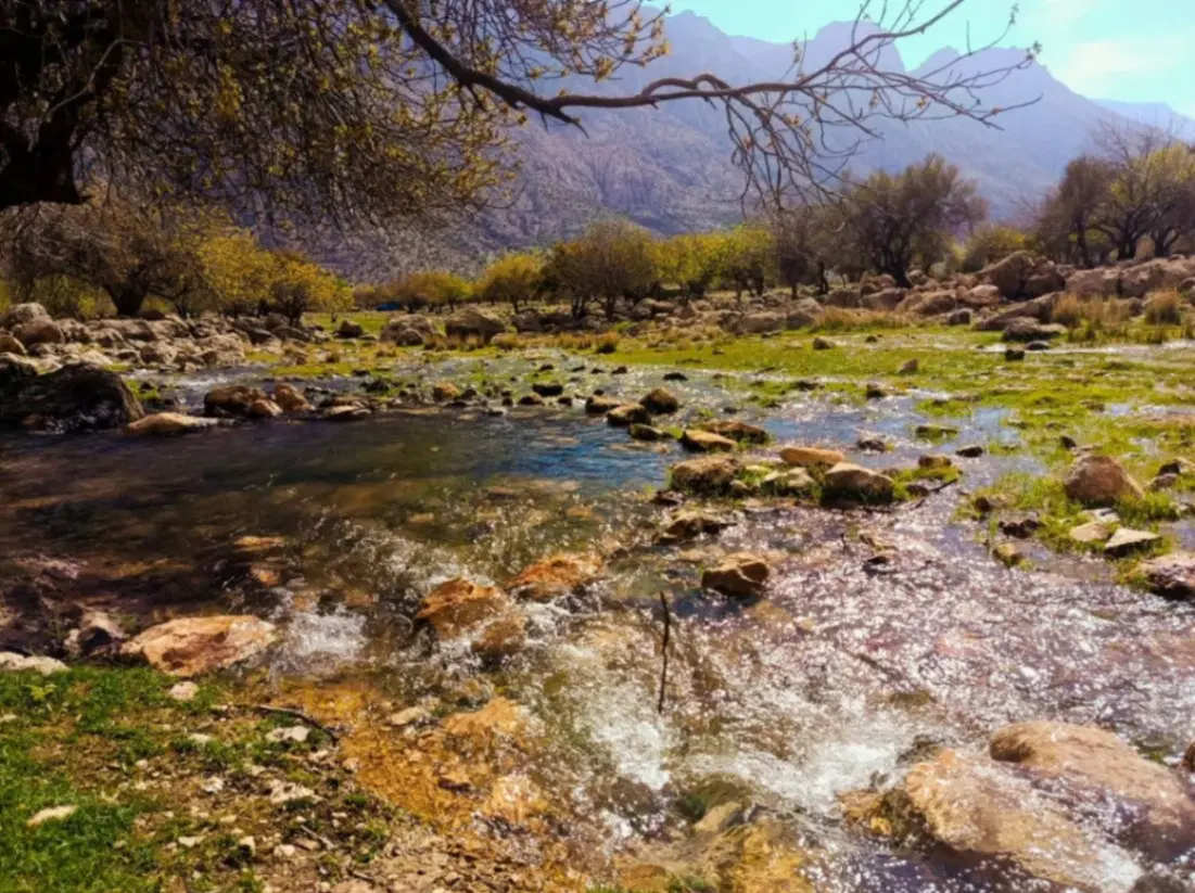 زمین ۲۸ هزار متری با  چاه شش دانگ خانه زنیان