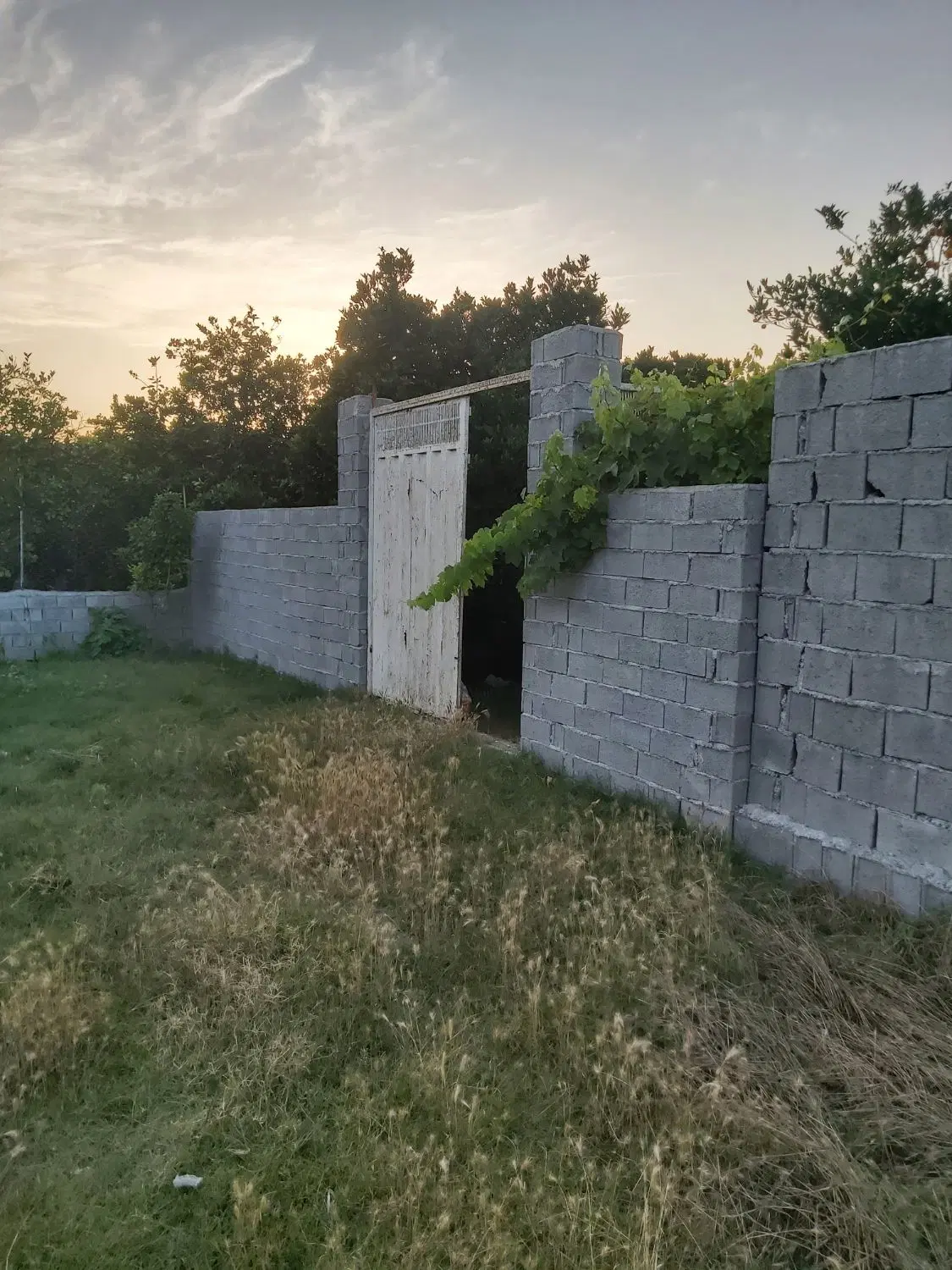 باغ به متراژ ۲۲۰ متر