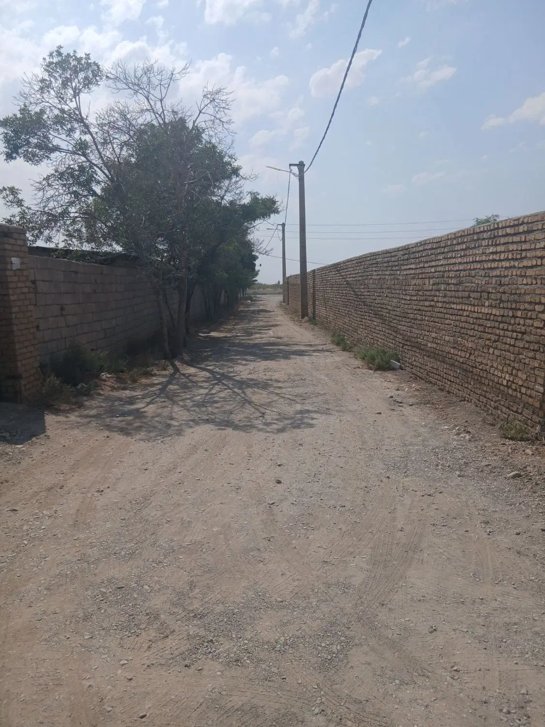 زمین ۲۵۰