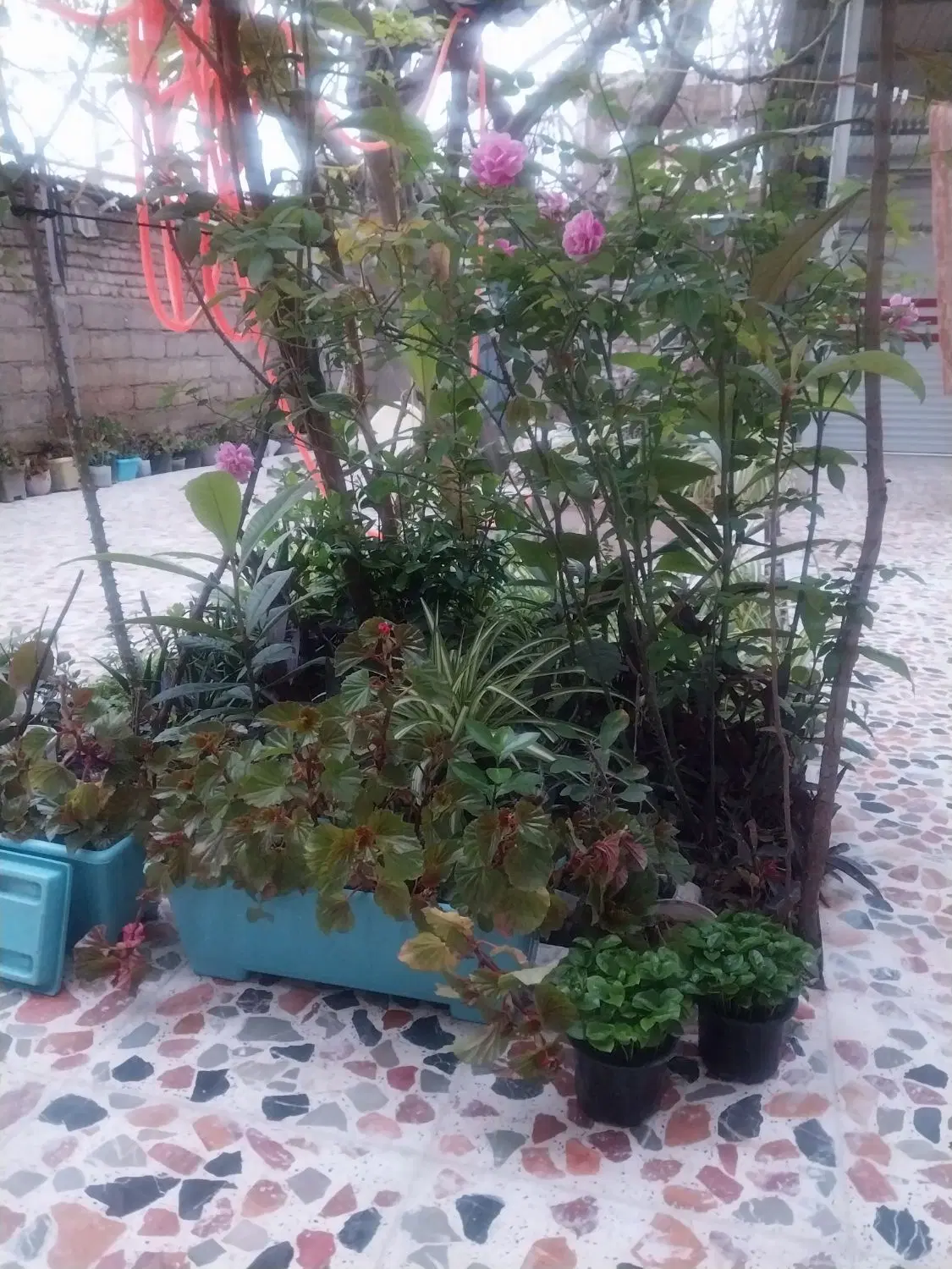 اجاره سالانه خانه ویلایی مبله باتمام امکانات