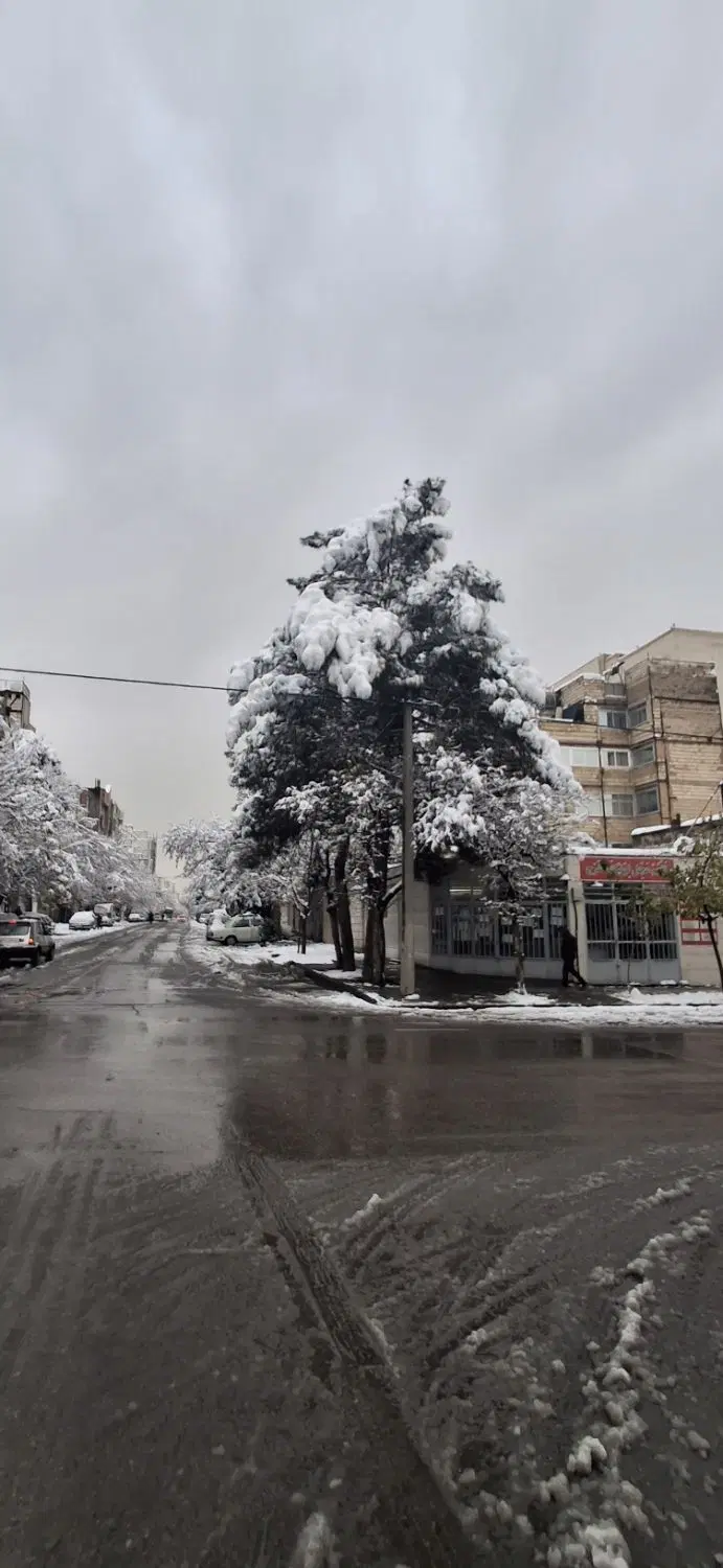 اجاره مغازه تجاری