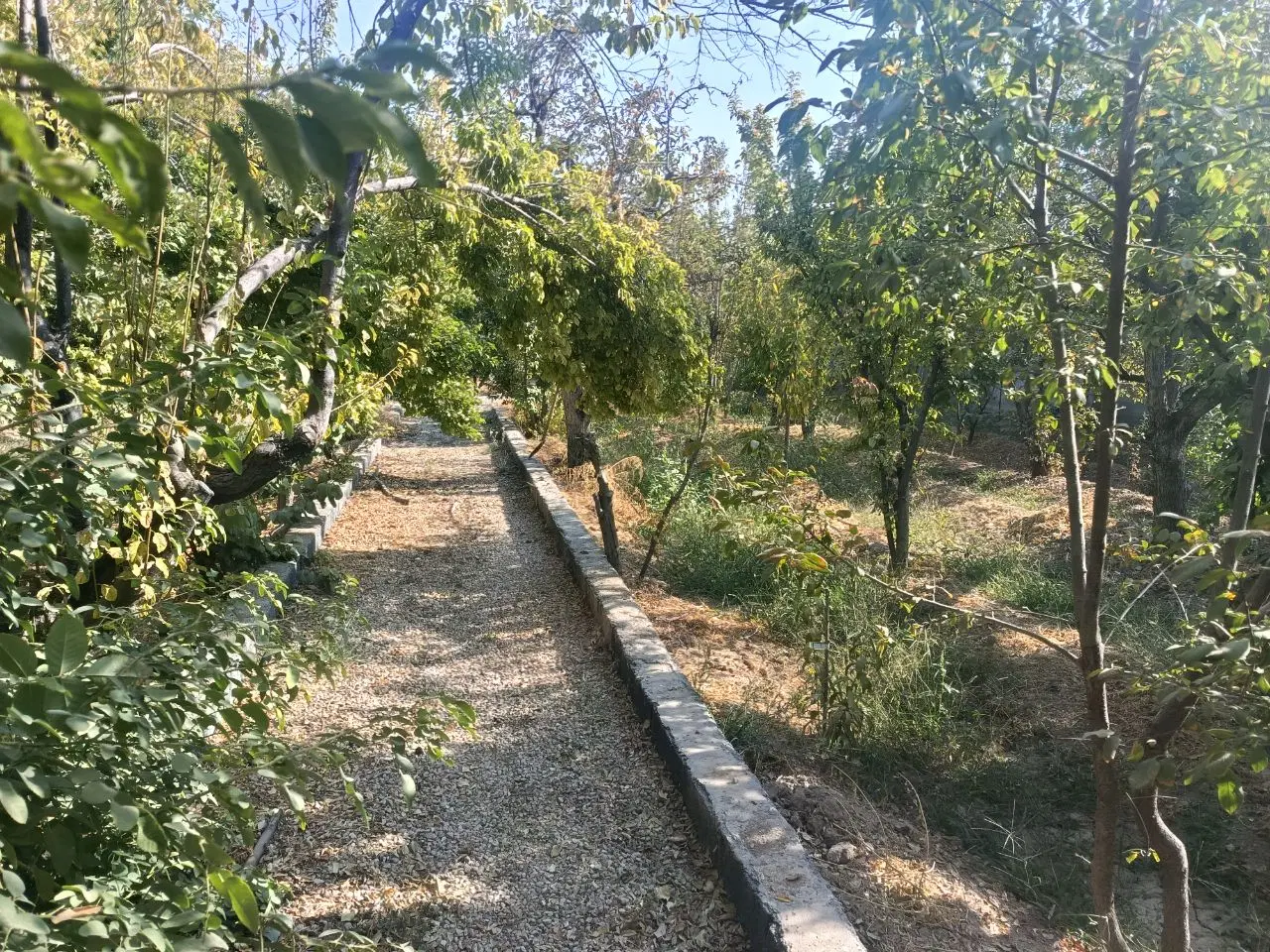 باغ ۱۸۷۰ متری سند تک برگ واقع در جوزدان