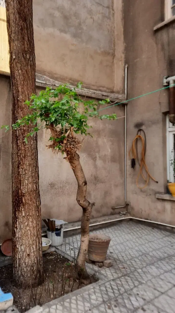 فروش خانه کلنگی