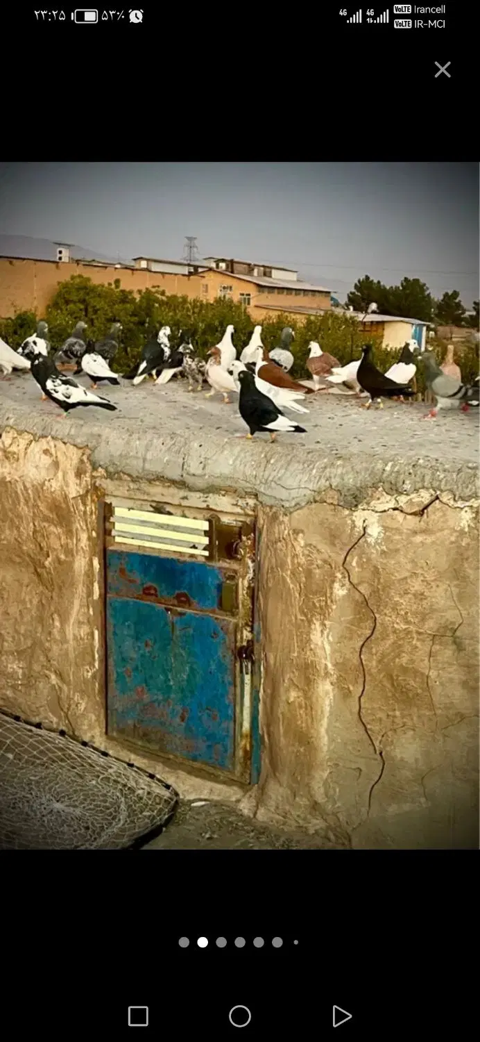 رهن و اجاره طبقه آخر با پشت بوم