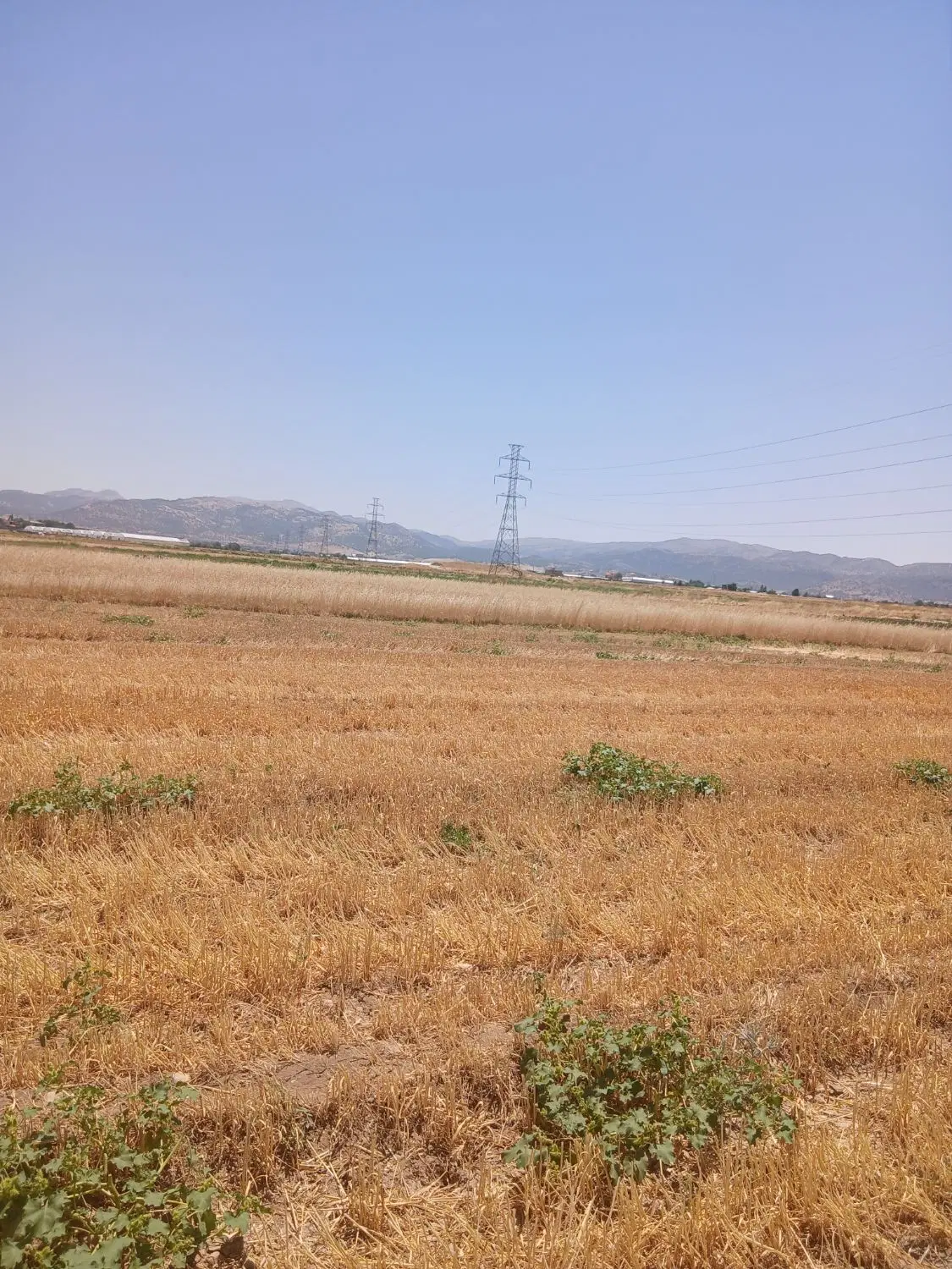 زمین زراعی چسپیده به طرح۷۲۰۰مترمربع