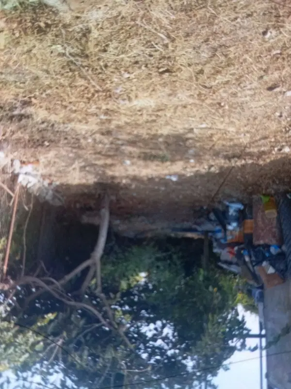 اجاره زمین کشاورزی
