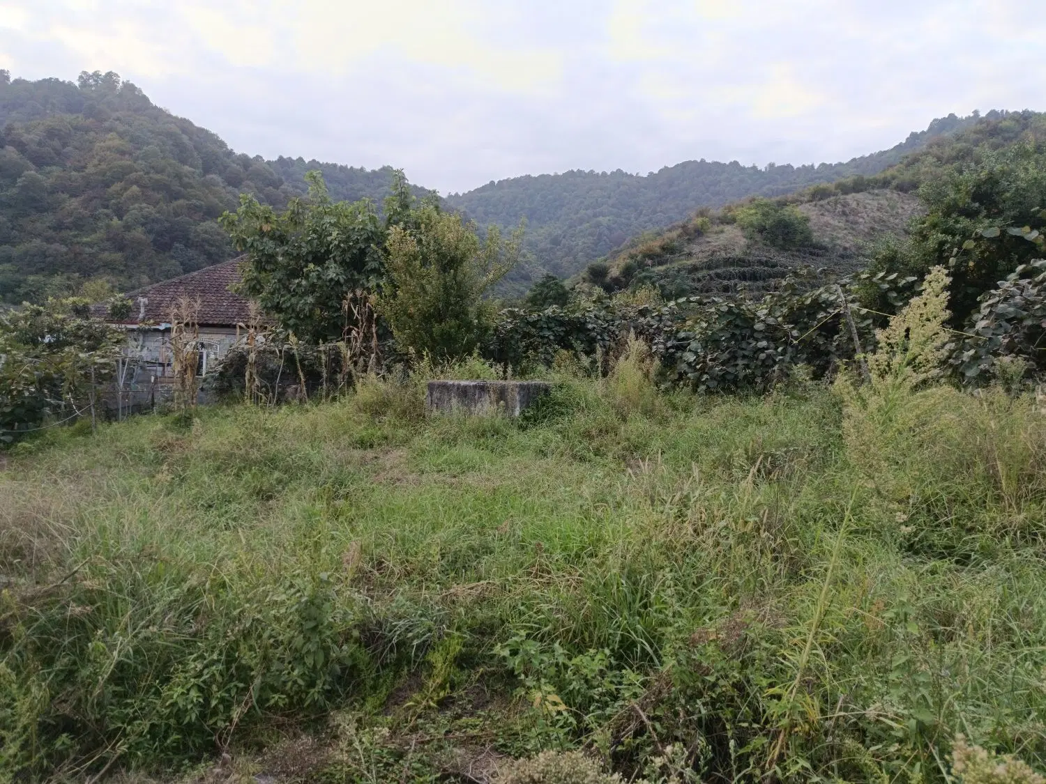 زمین ویلایی