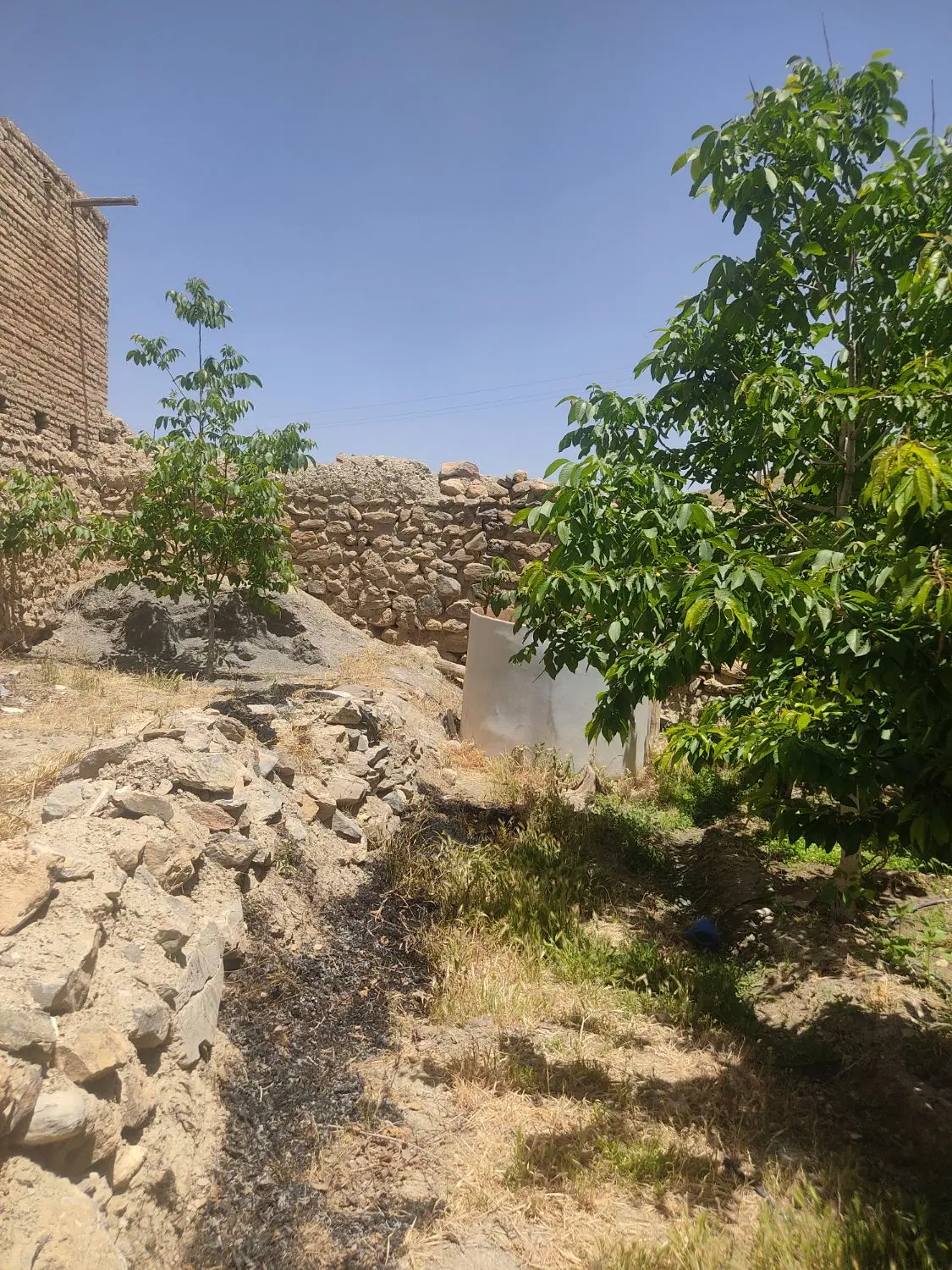 یک باب ساختمان واقع در روستایی.استلک۸۰عدرخت میوه