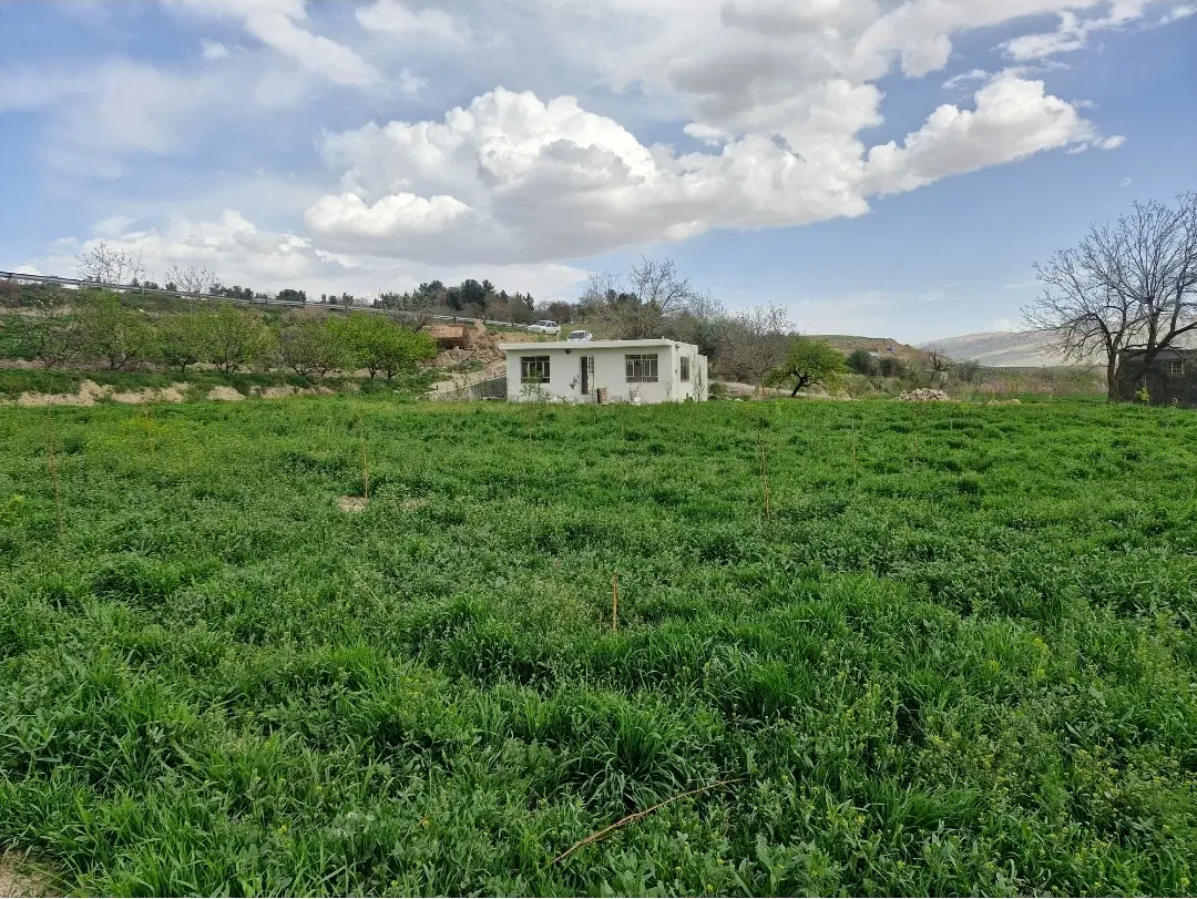 باغ روبرو پتروشیمی حاشیه