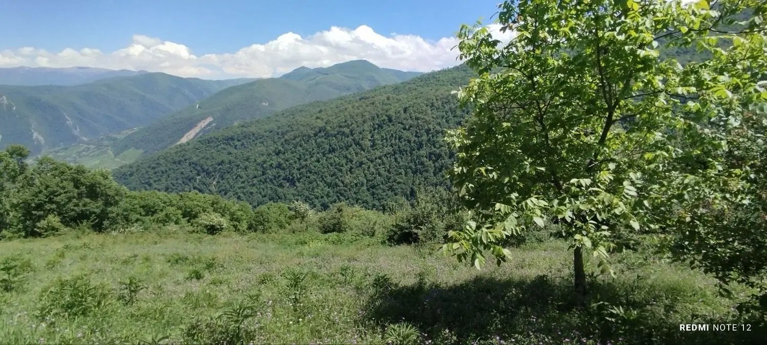 زمین در افراتخته علی آباد