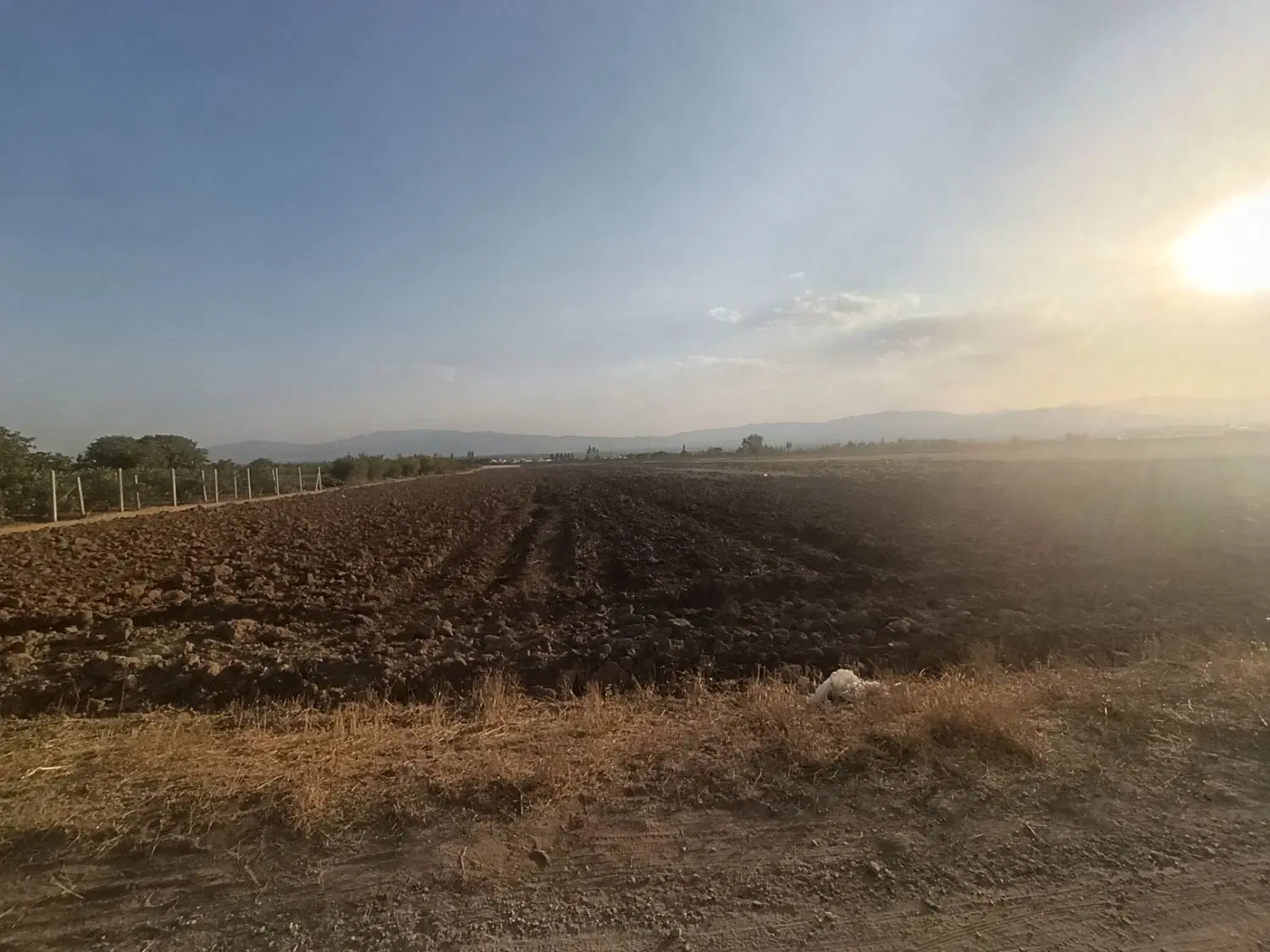 زمین دیم ما بین اتوبان و راه آهن قلعه حسینیه
