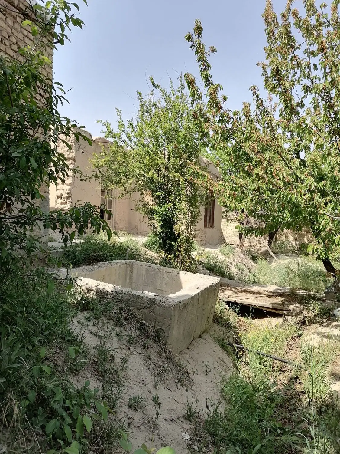 فروش یک باب منزل روستایی درچناران