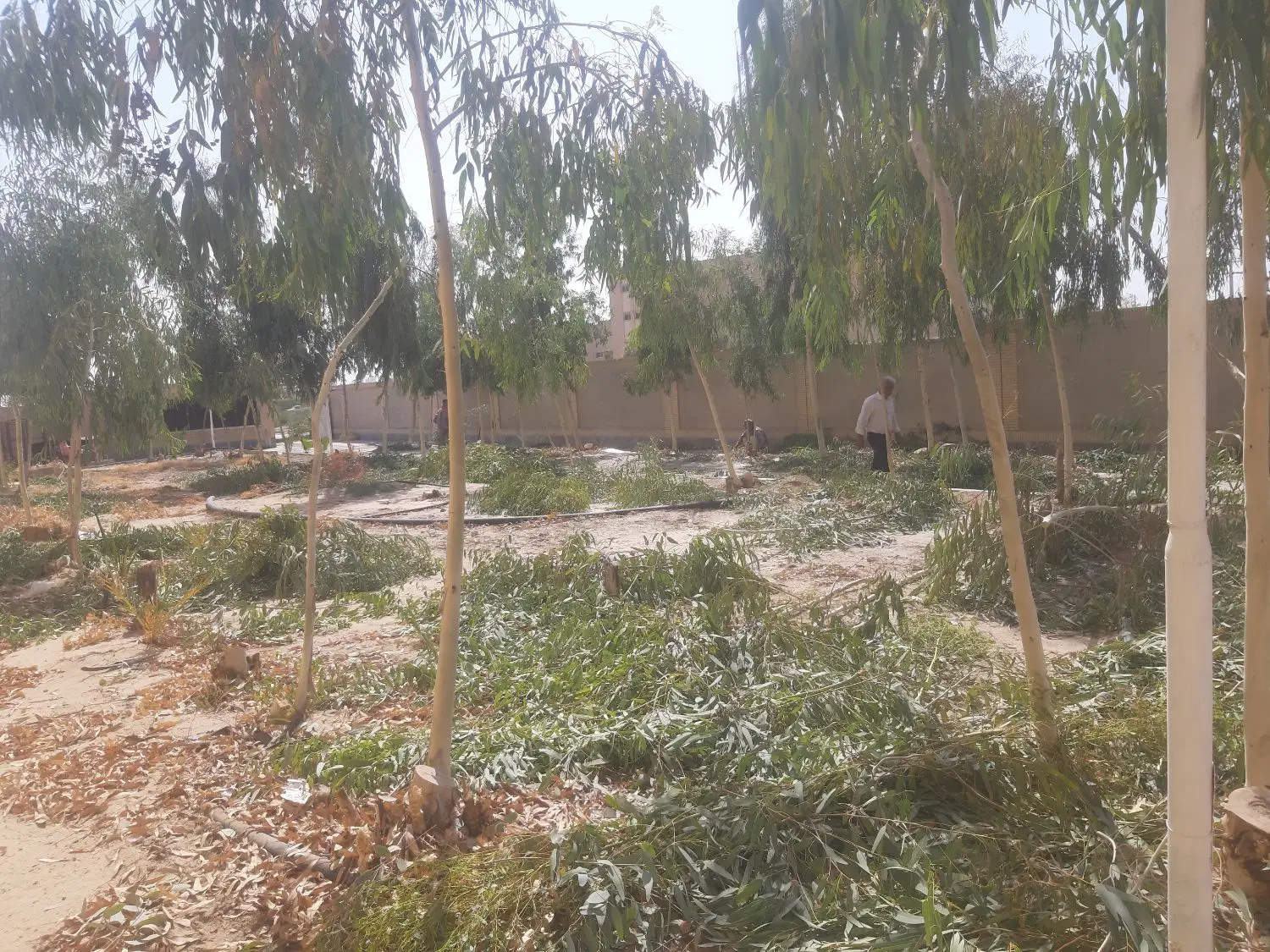 زمین فروشی روبری بریدکی محمد آباد دانشگاه۳۲