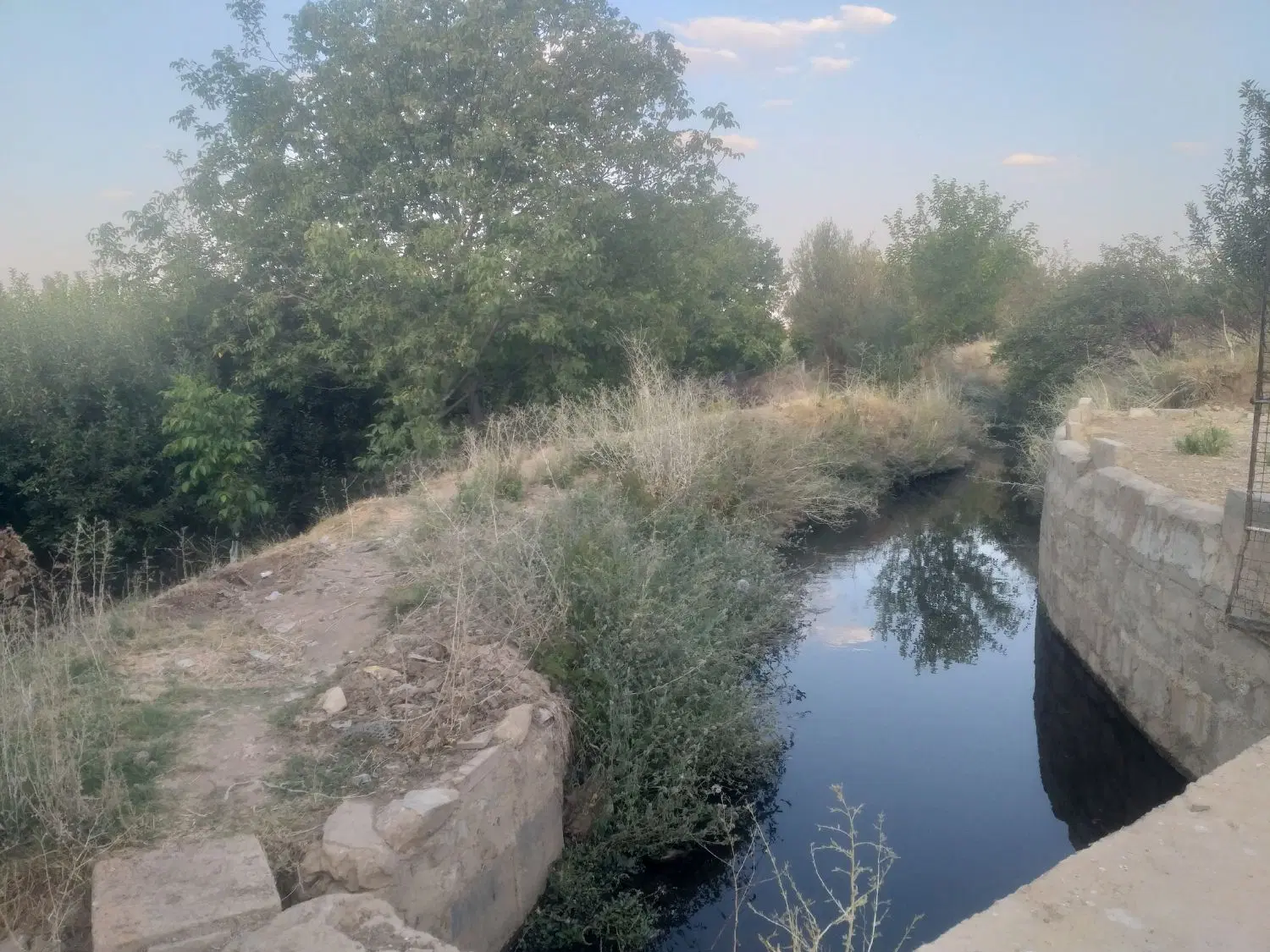 باغ گلاب