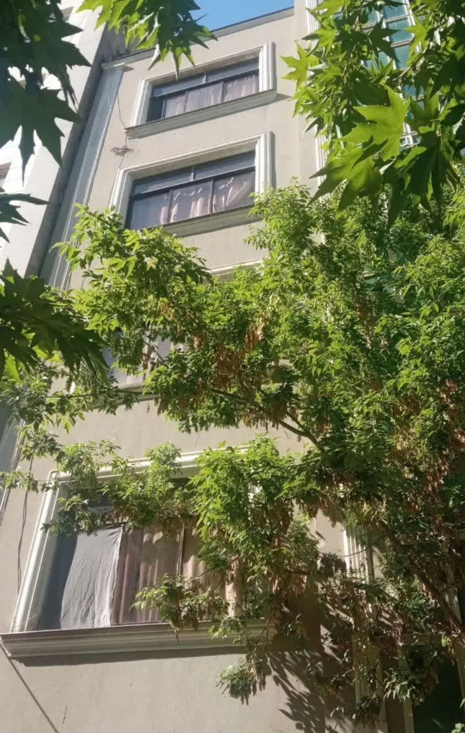 لادن سند آماده فروش فوری