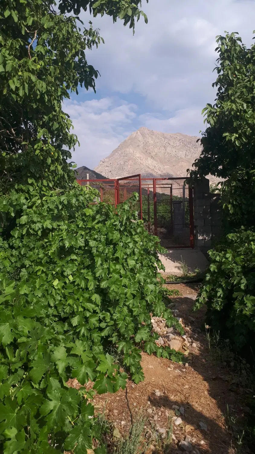 خرید مطمئن از مشاور املاک شهروند سی سخت