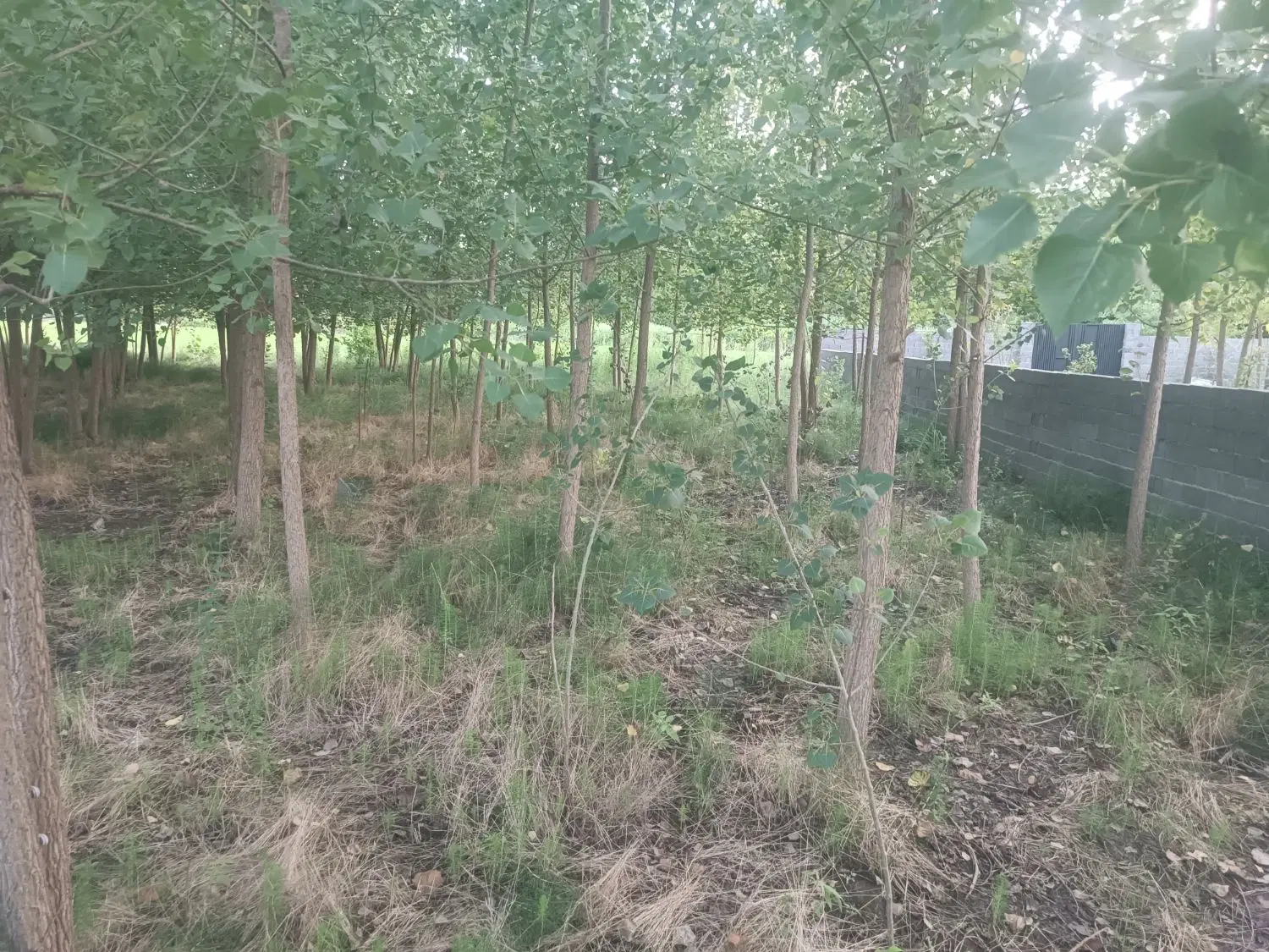 یک قطعه زمین متراژ 379متر بهترین موقعیت اب هوایی