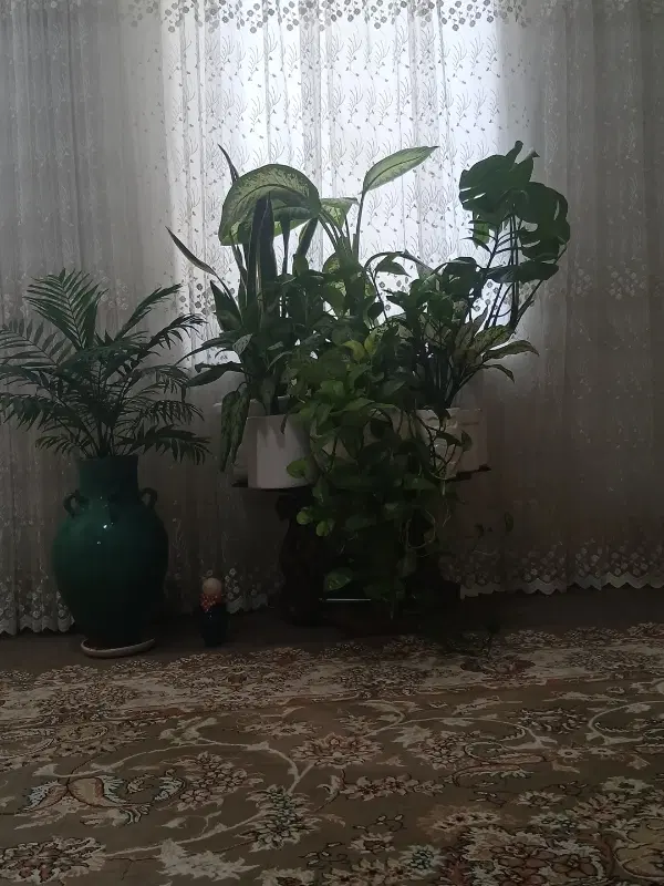 خونه فروشی واجاره ای ویلایی