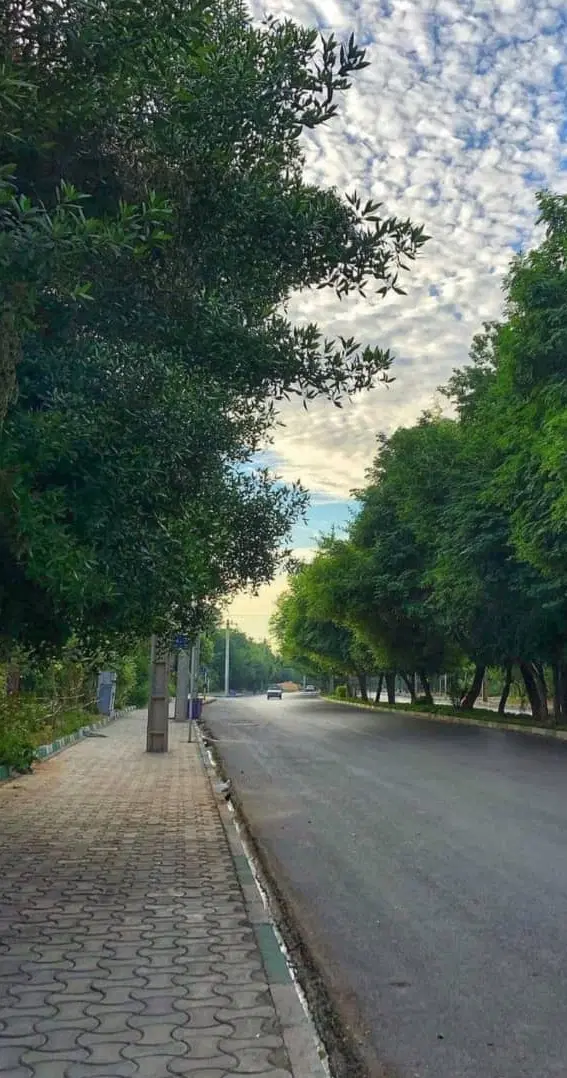 ۱۵۰متر _ فضای سبز بینظیر_دو کله _آفرینش