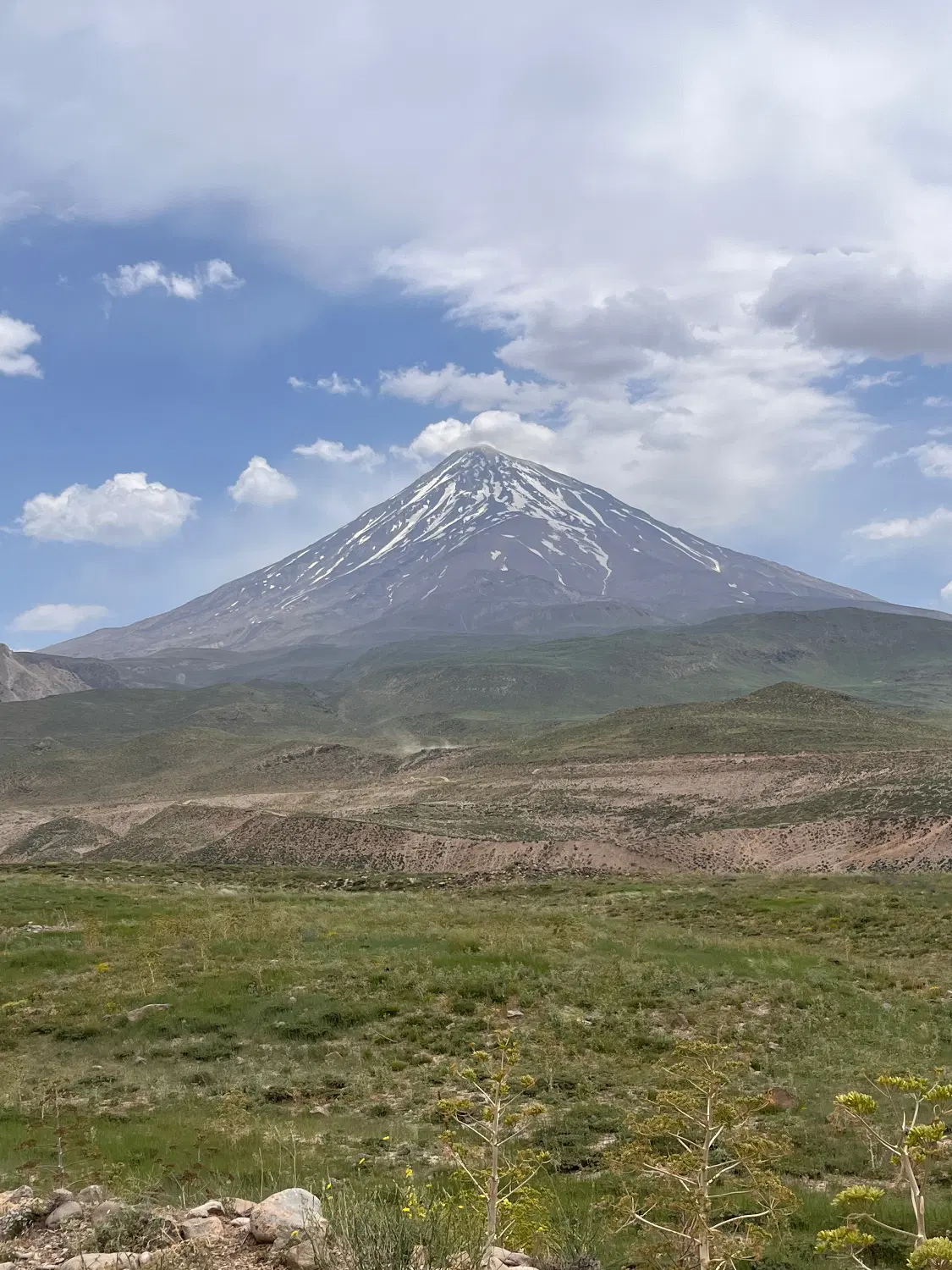 زمین ویلایی در پلور
