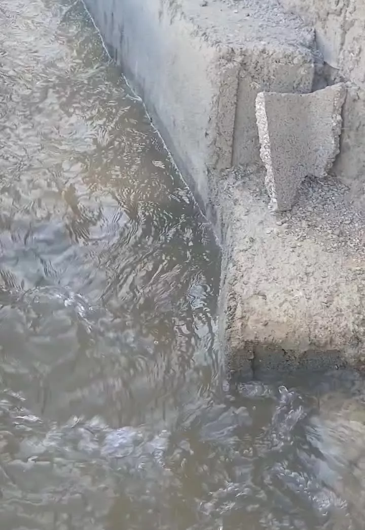 باغ سپیدان هماشهر منطقه  سربست همایجان