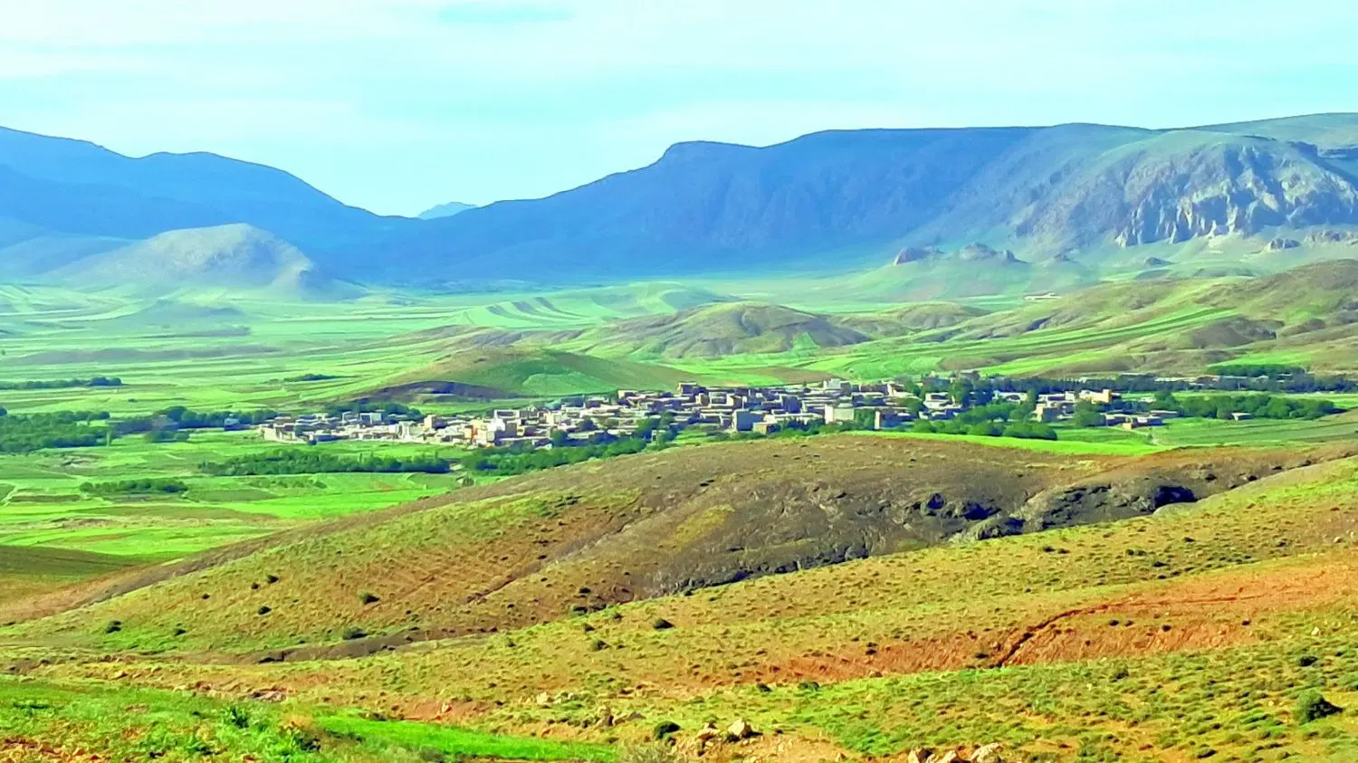 کاه گندم