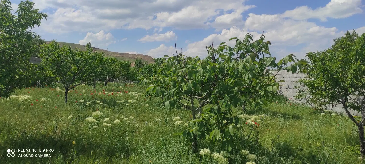 باغ حصار شده با آبیاری قطره ای بستان اباد