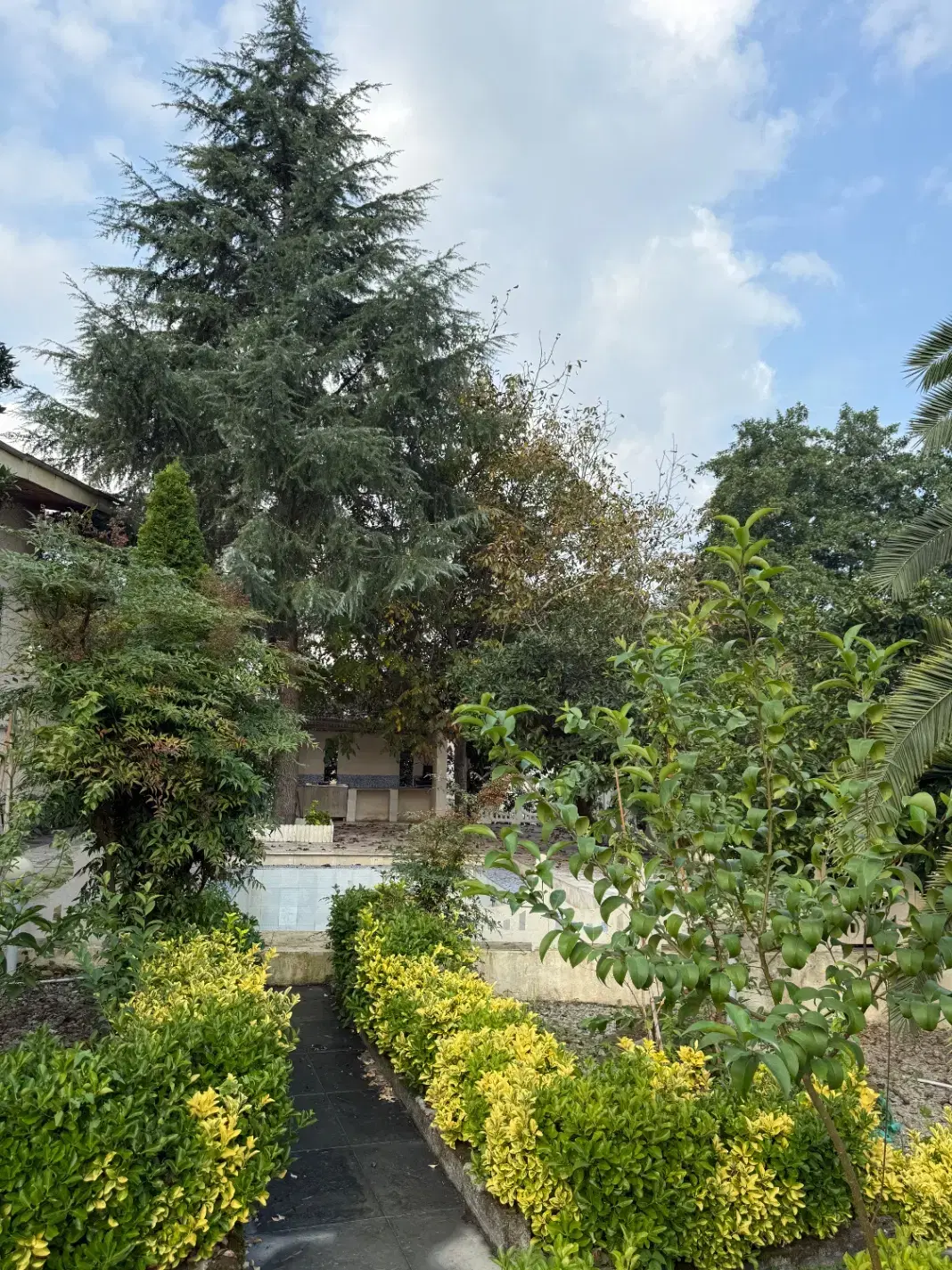 باغ ویلا