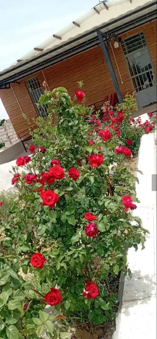 فروش ملک در محدوده هفت باغ