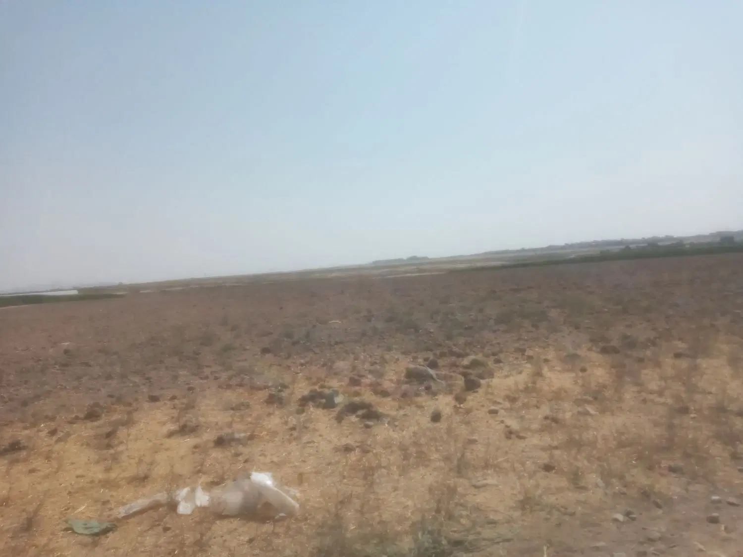 زمین کشاورزی